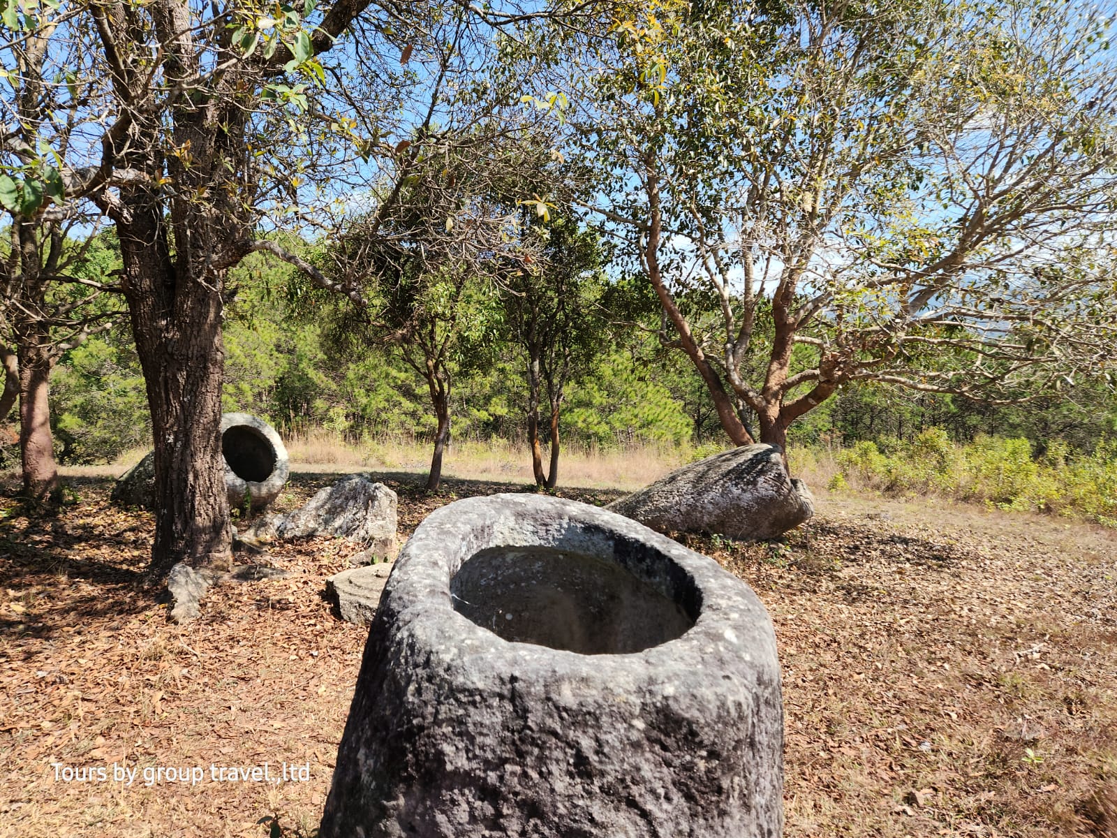 whatsapp image 2026 02 21 at 6.24.00 am